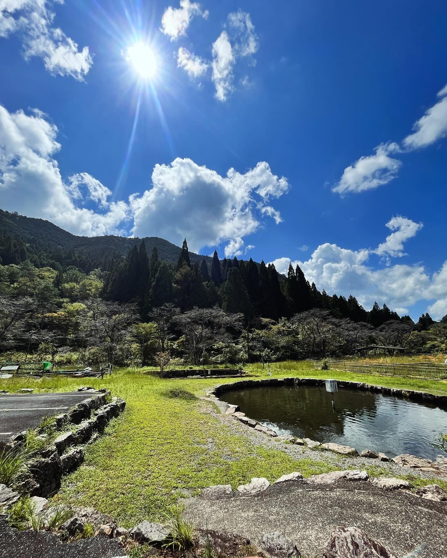 炭火で焼かれる飛騨牛と新鮮なJAS認定野菜
