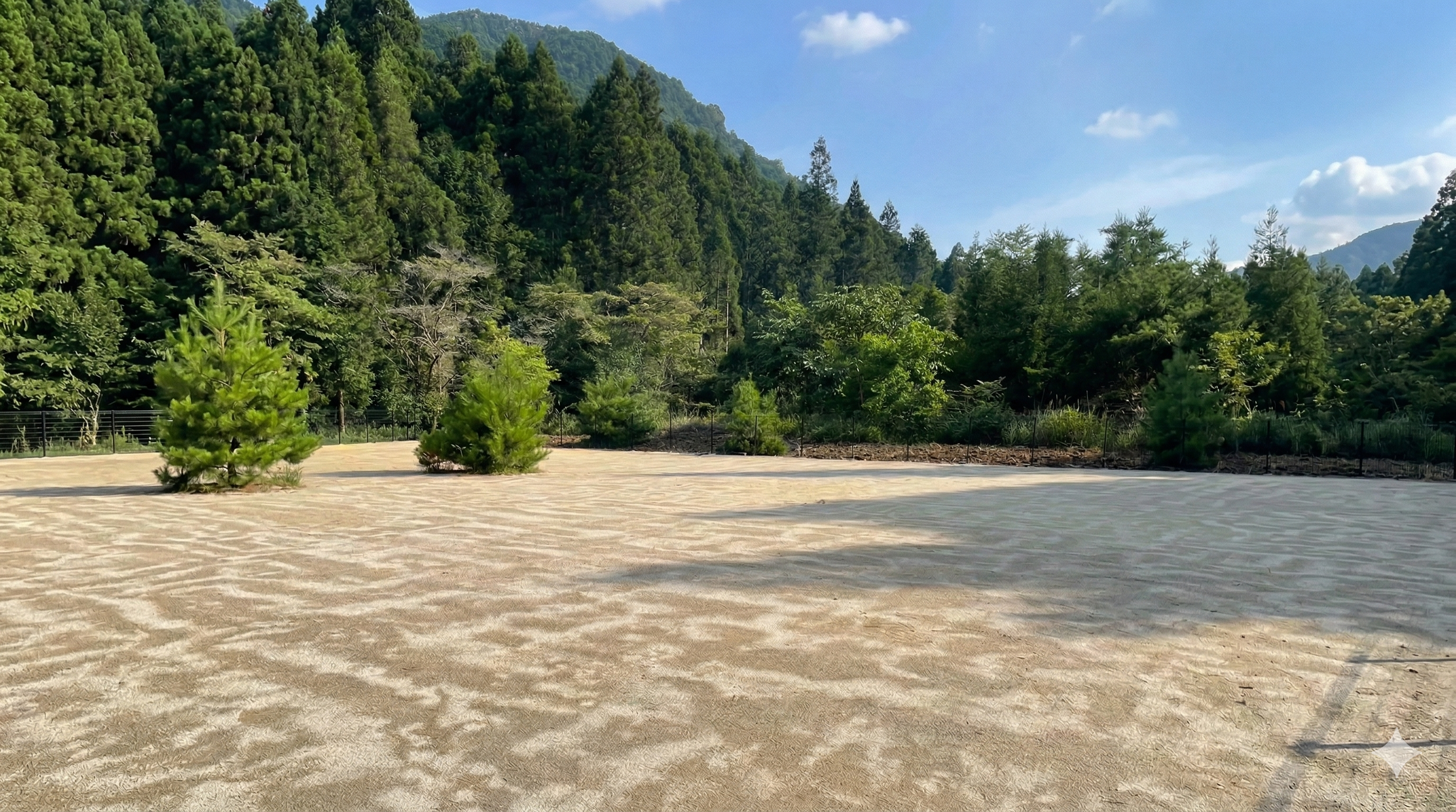 安心な土の地面